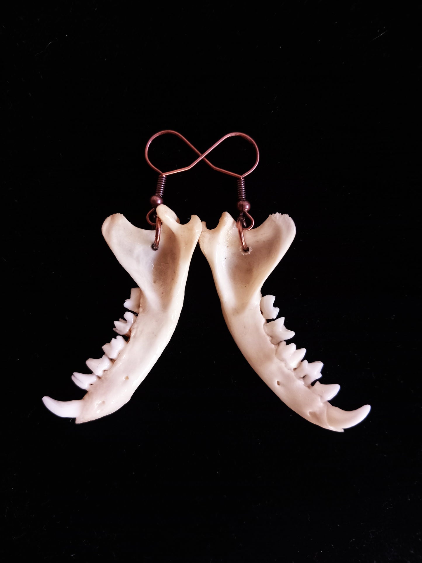 Mongoose Mandibles