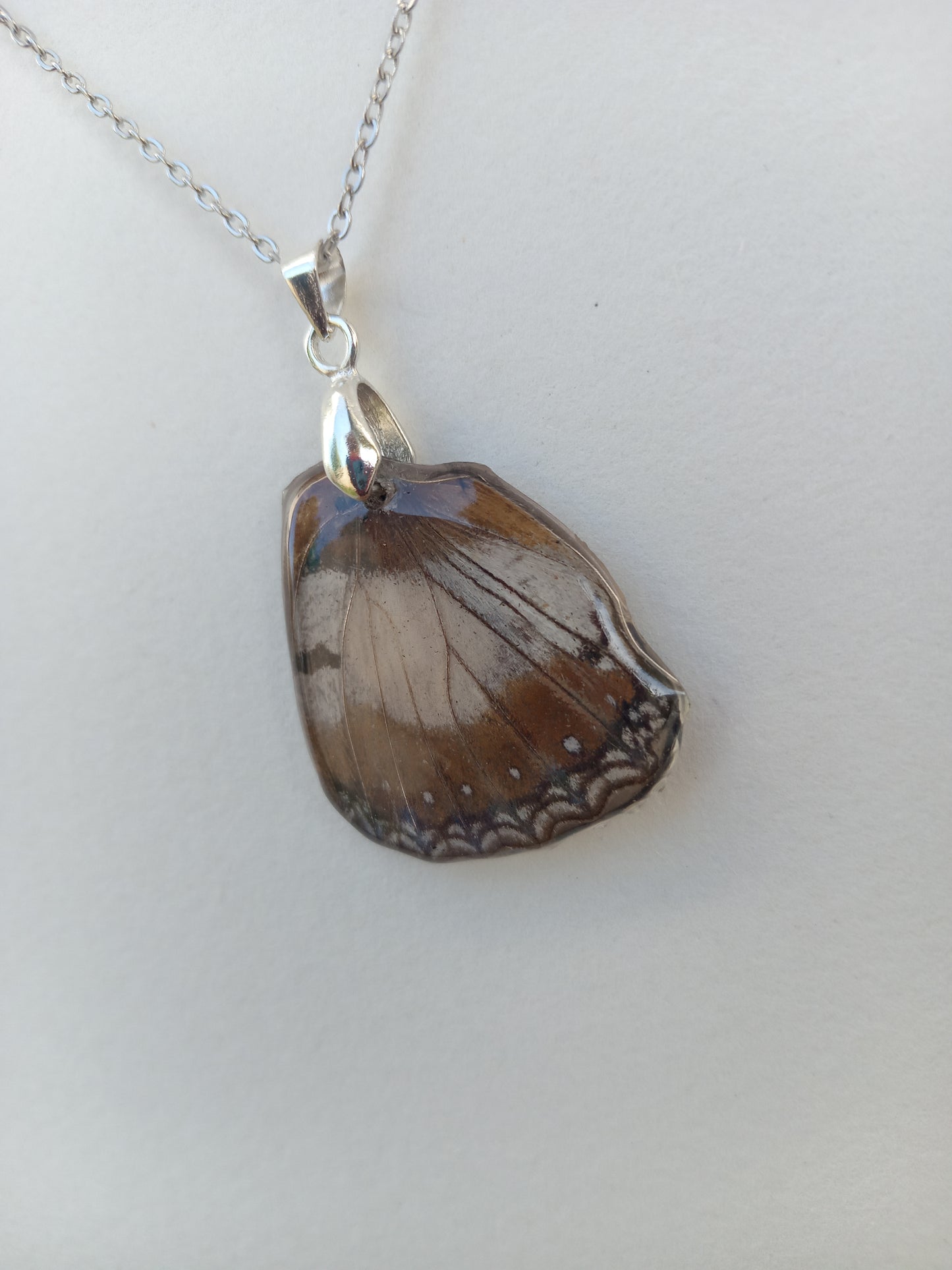 Common Diadem