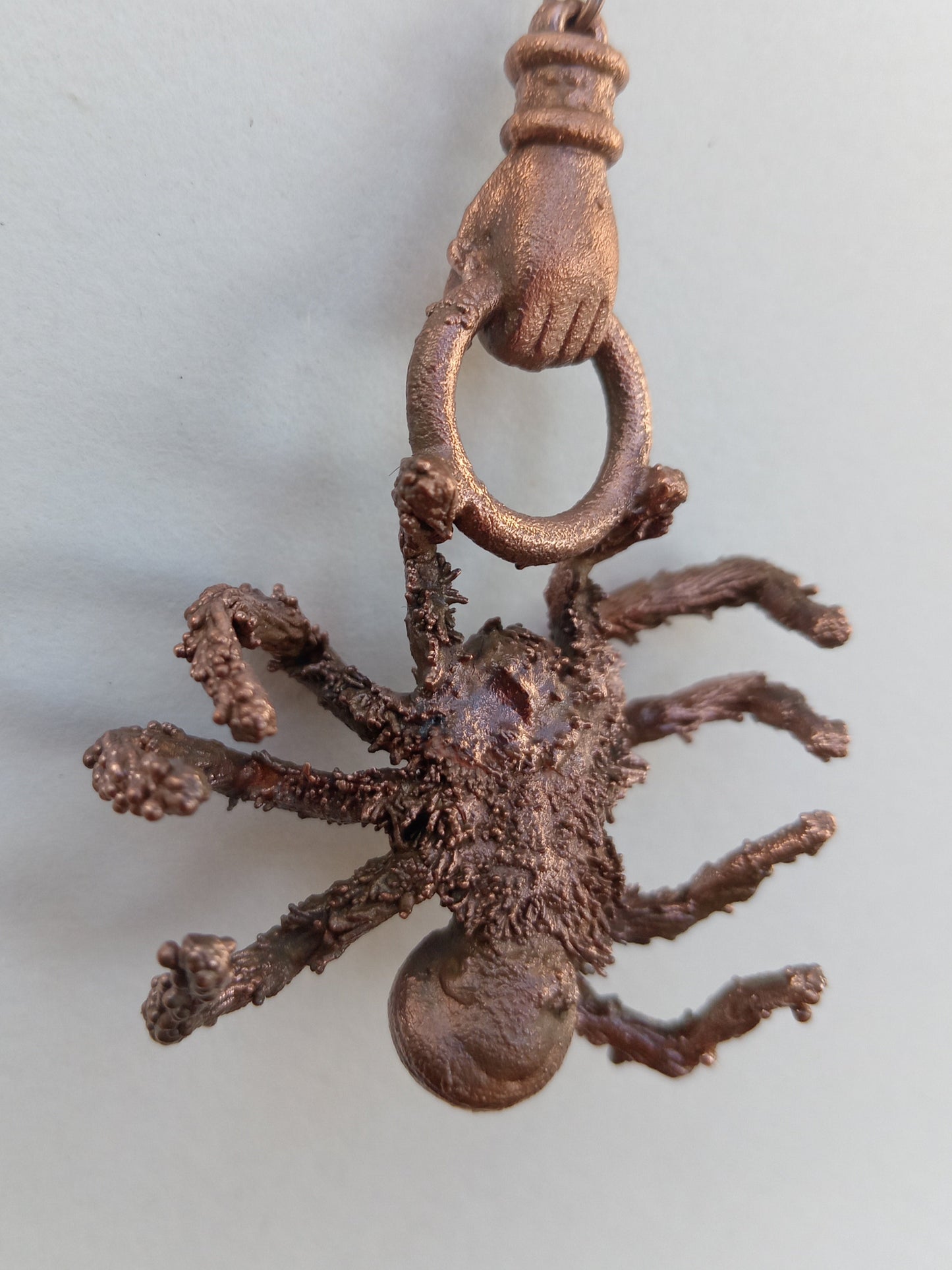 Spider