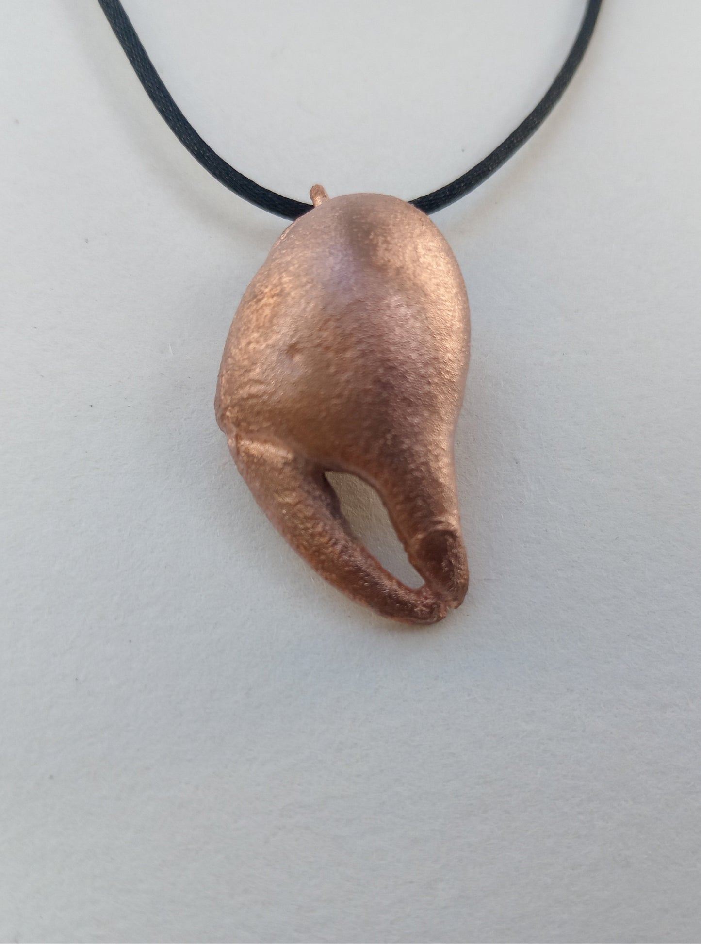 Crab Claw Small