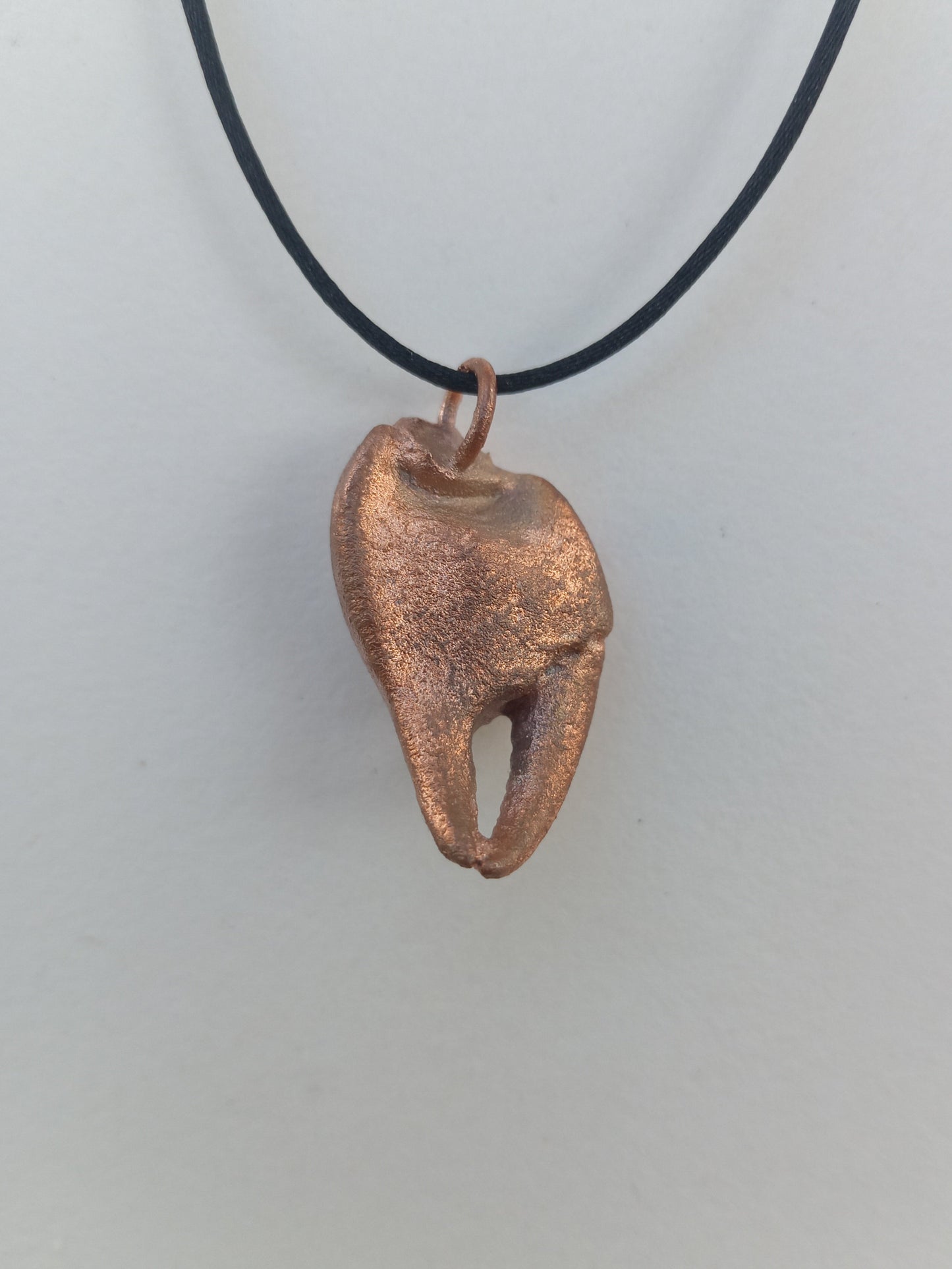 Crab Claw Small