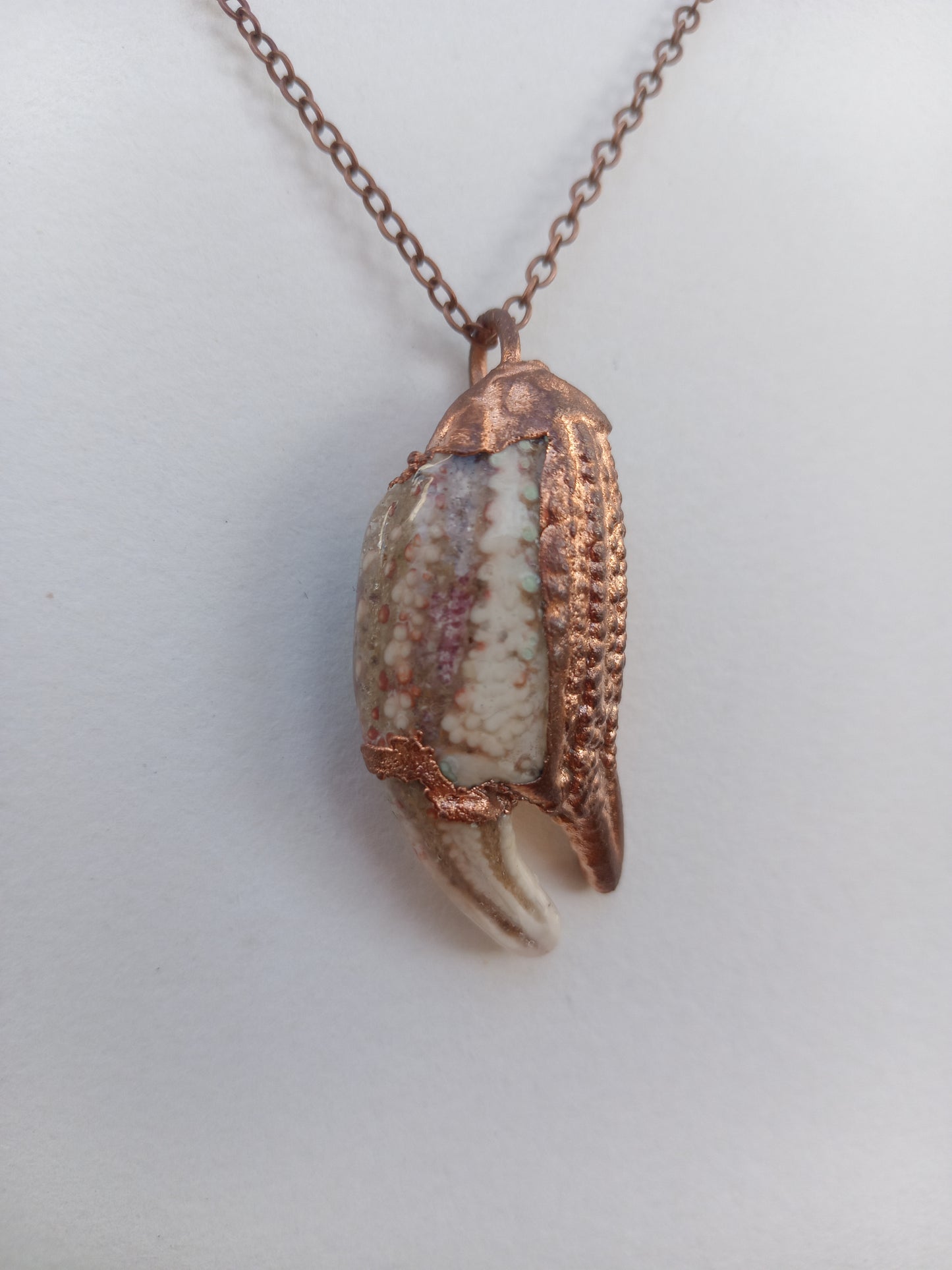 Crab Claw