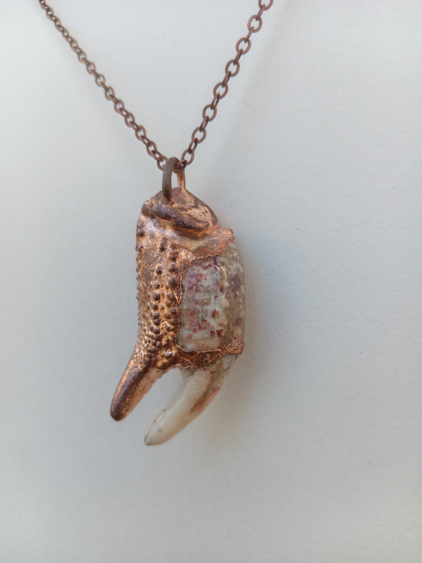 Crab Claw