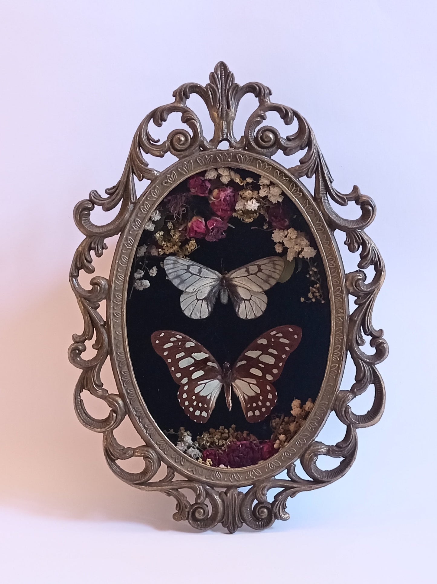 Butterflies in Vintage Frame