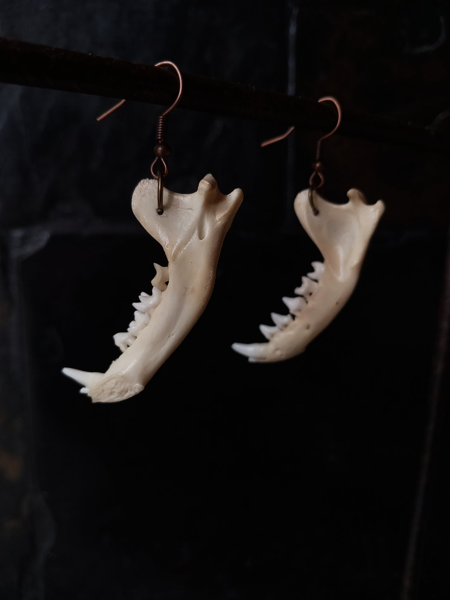 Mongoose Mandibles