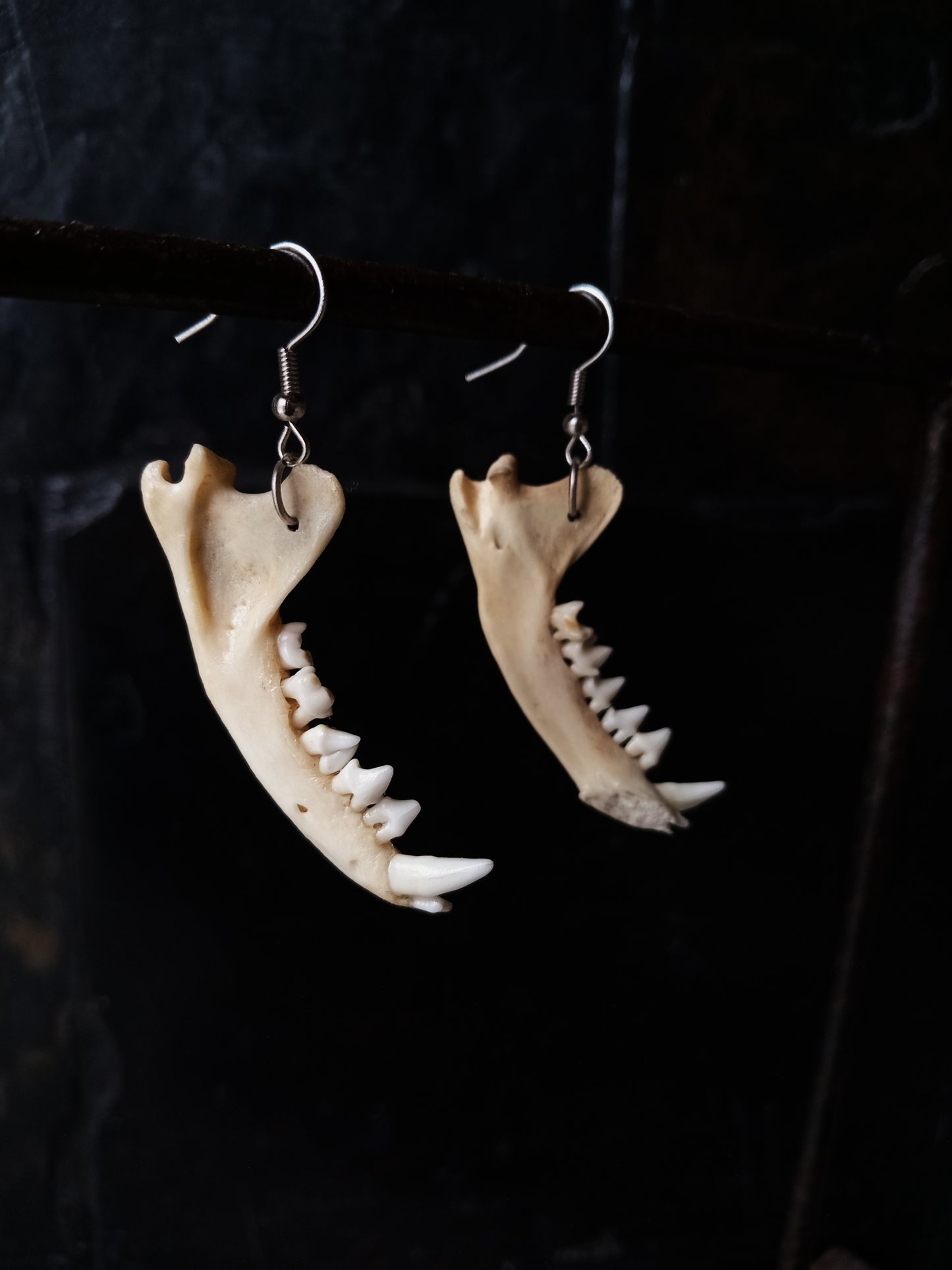Mongoose Mandibles Silver