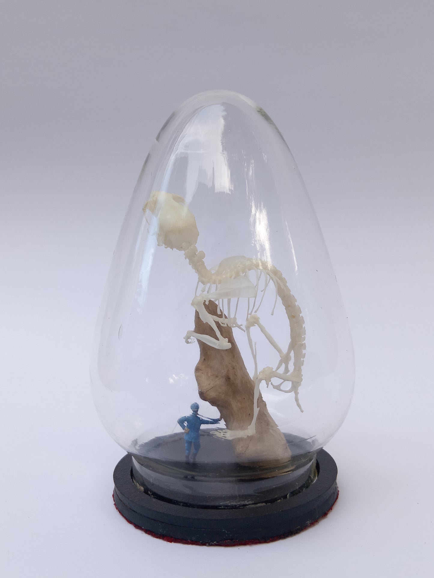 Hamster Diorama