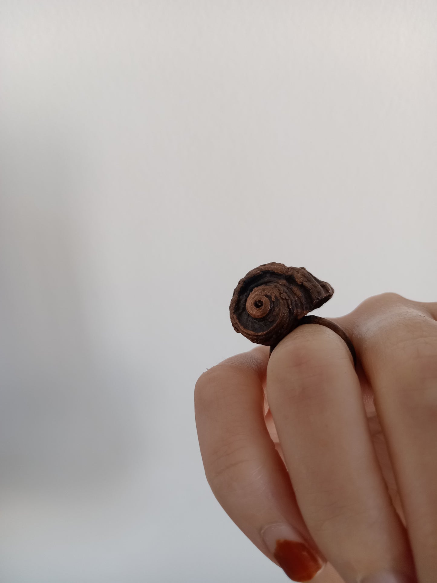 Shell Ring