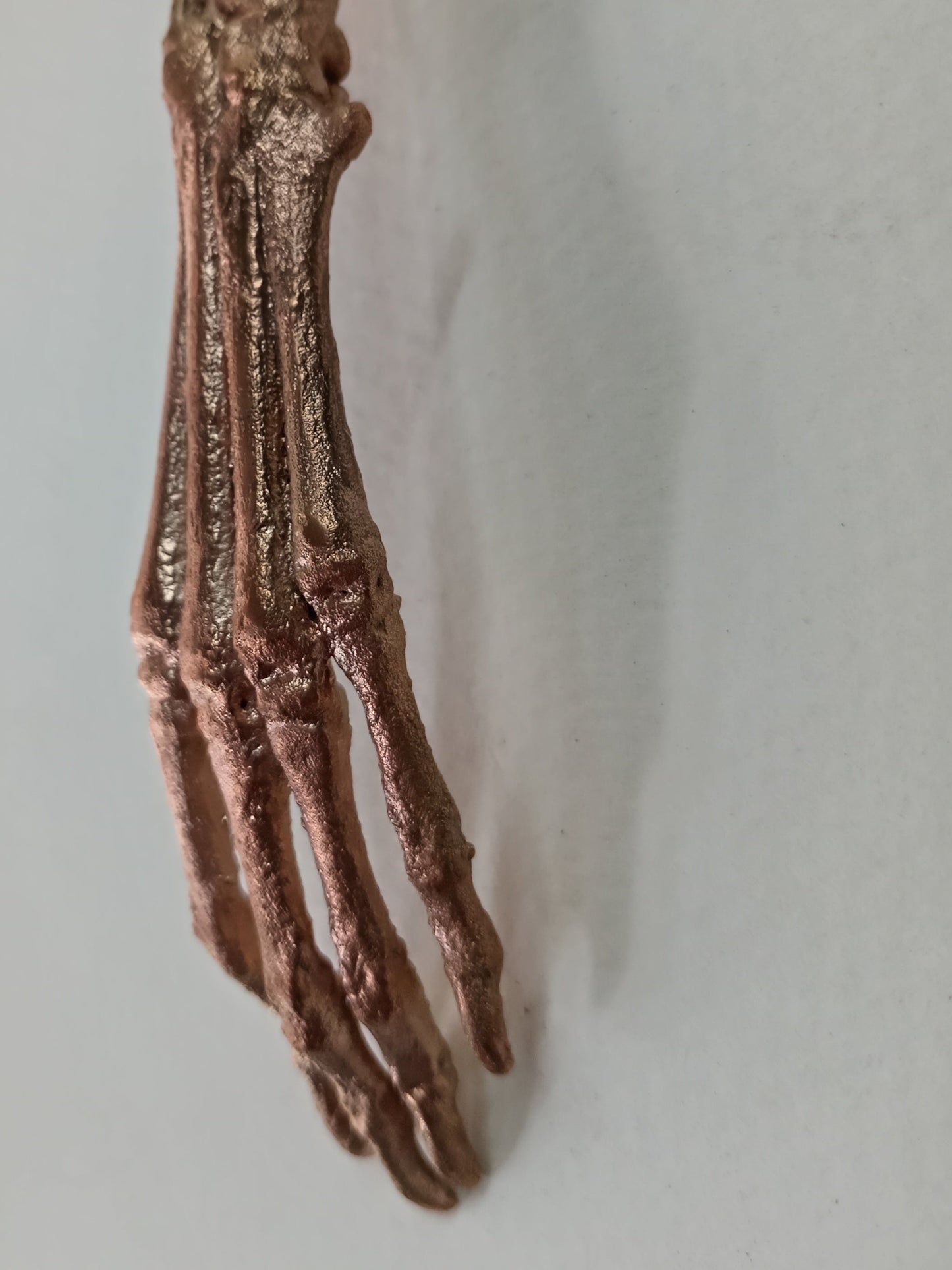 Lucky Rabbits Foot