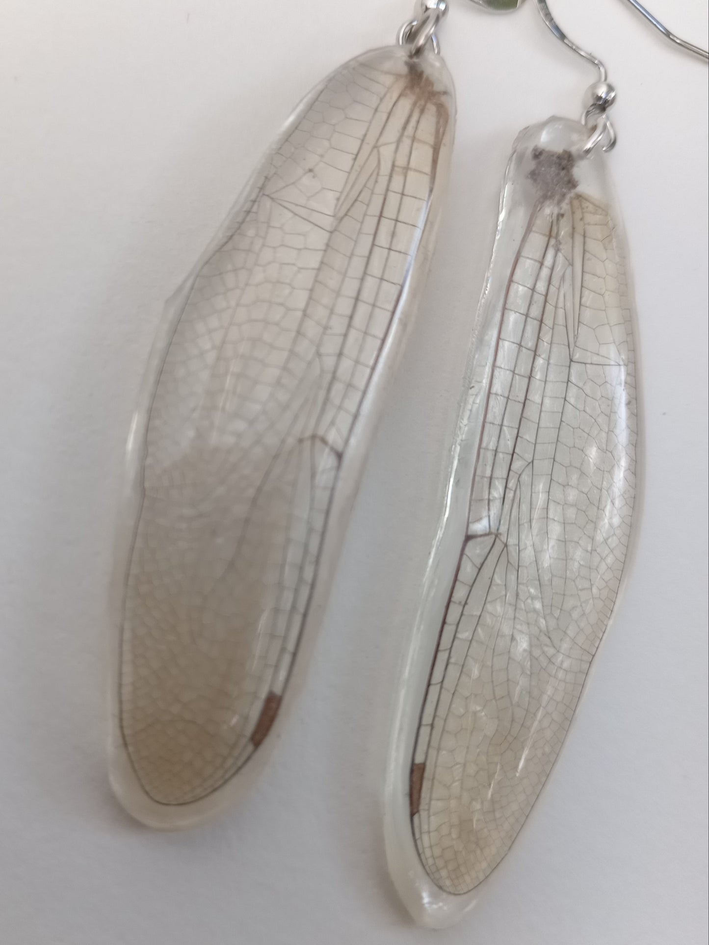 Dragonfly Wings