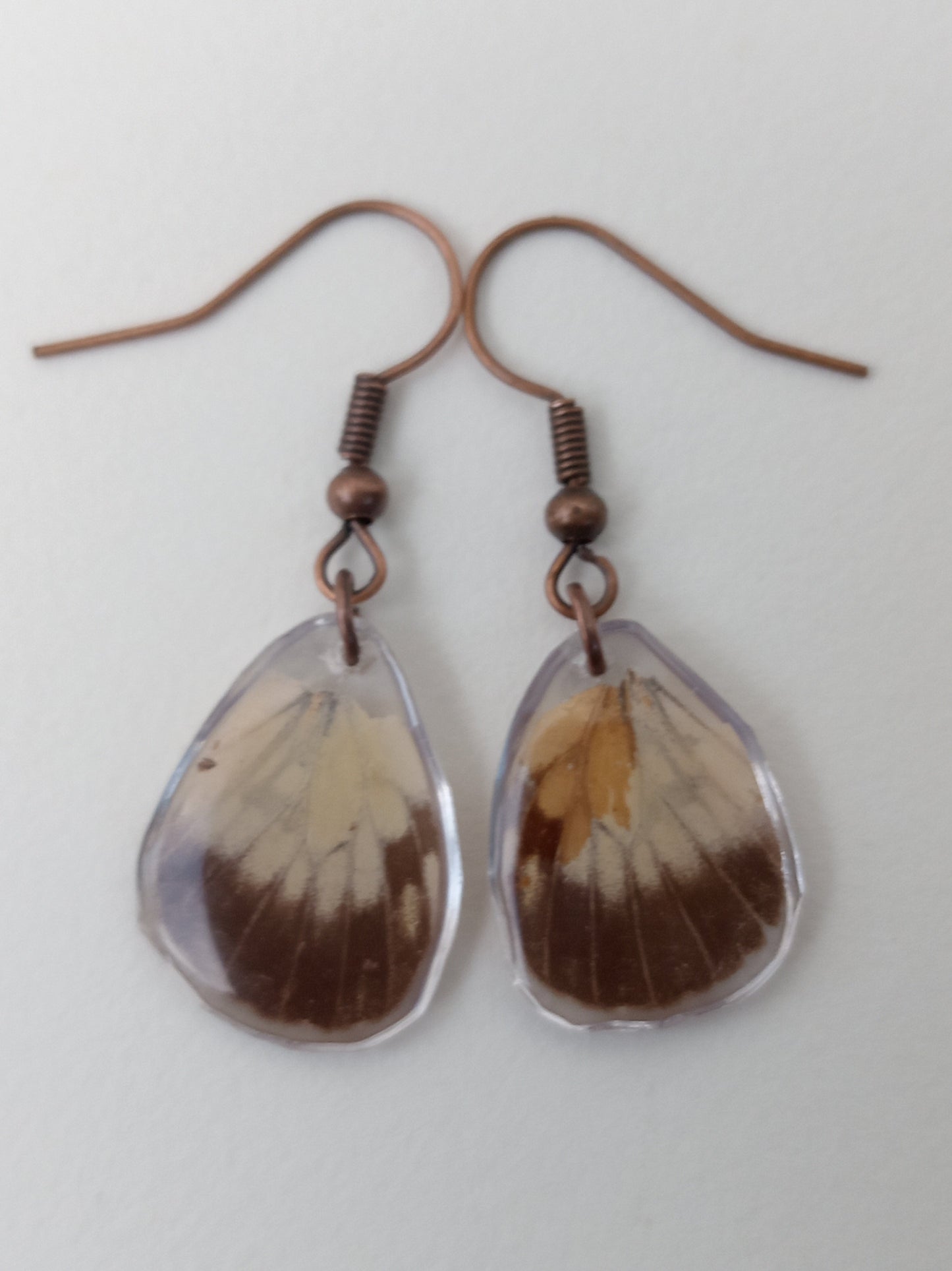 Butterfly wings