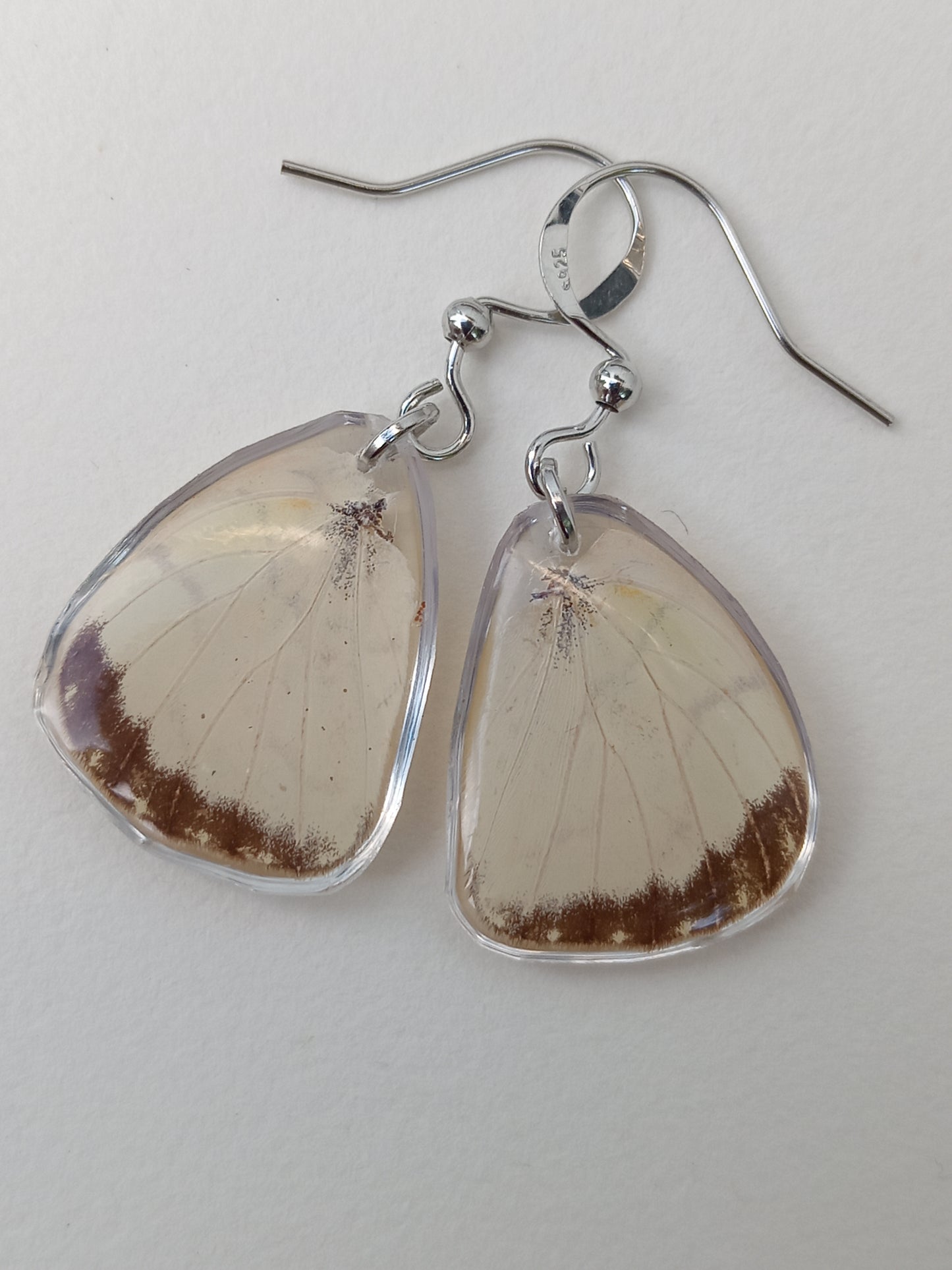 Butterfly wings