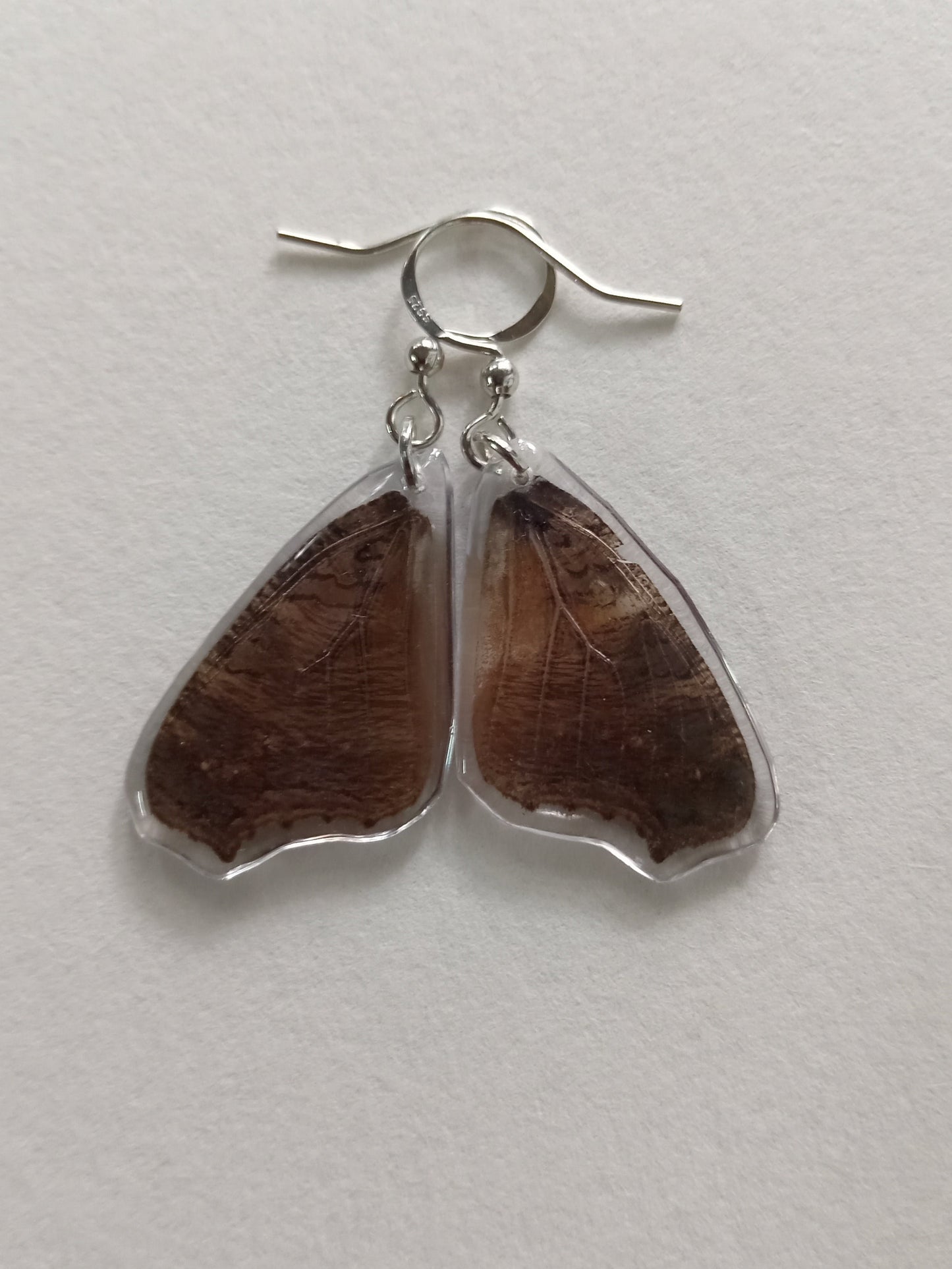 Butterfly wings