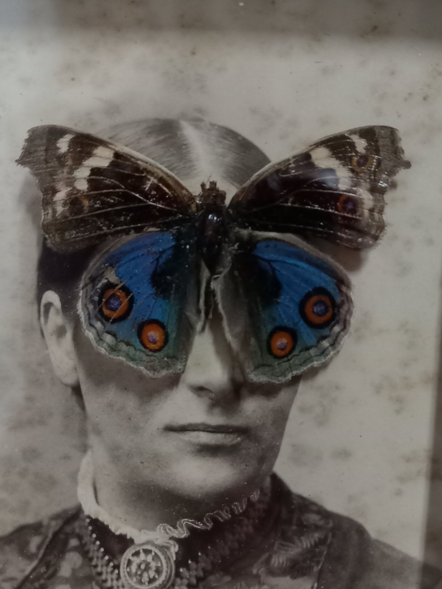 The Seer