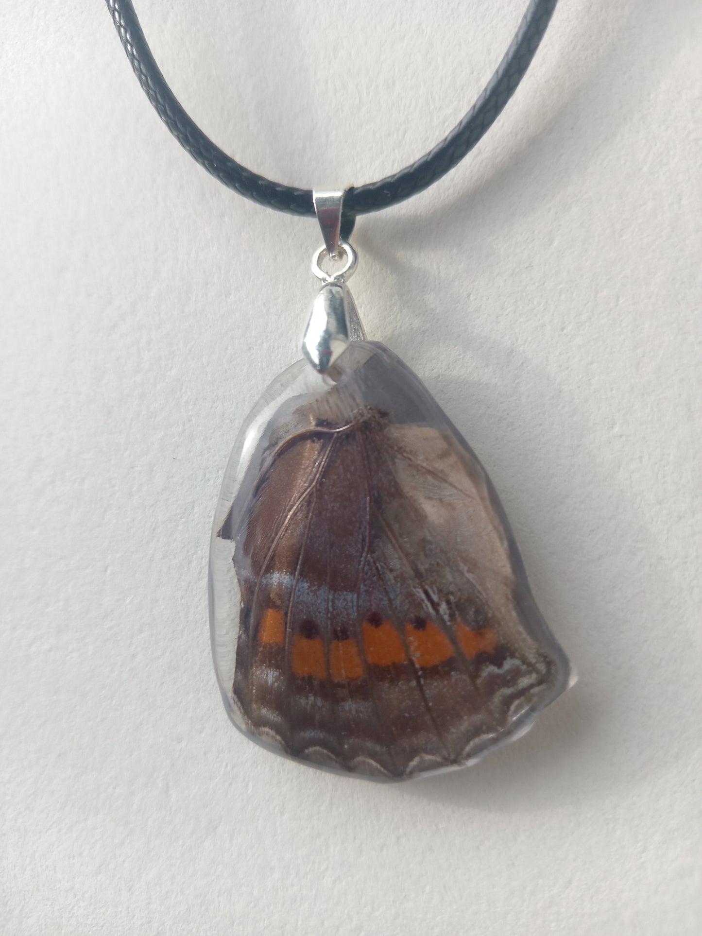 Butterfly Wing