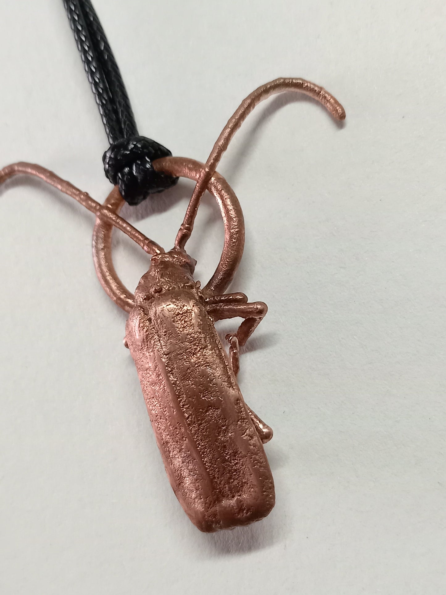 Long-horned beetle