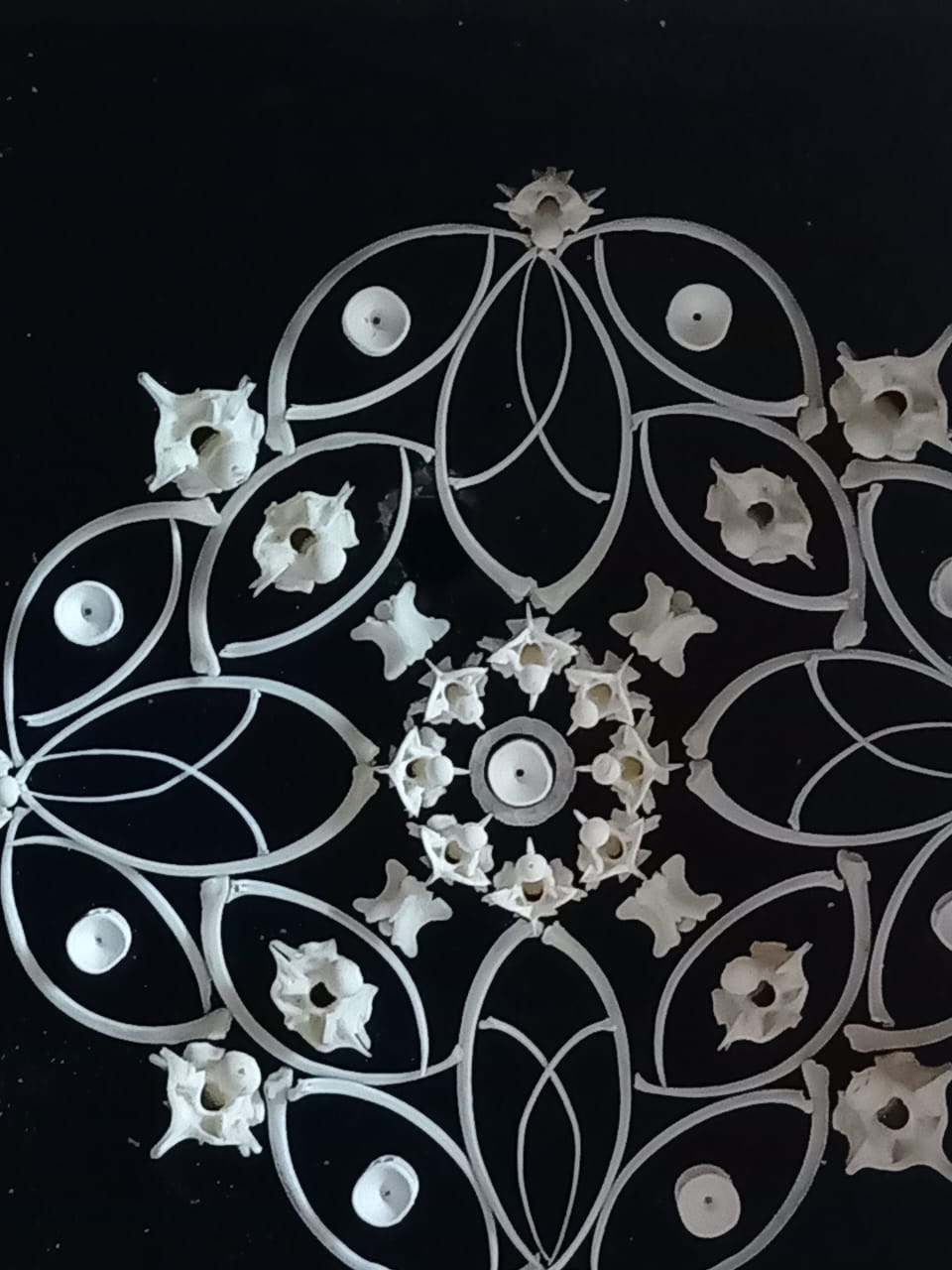 Snake Bone Mandala
