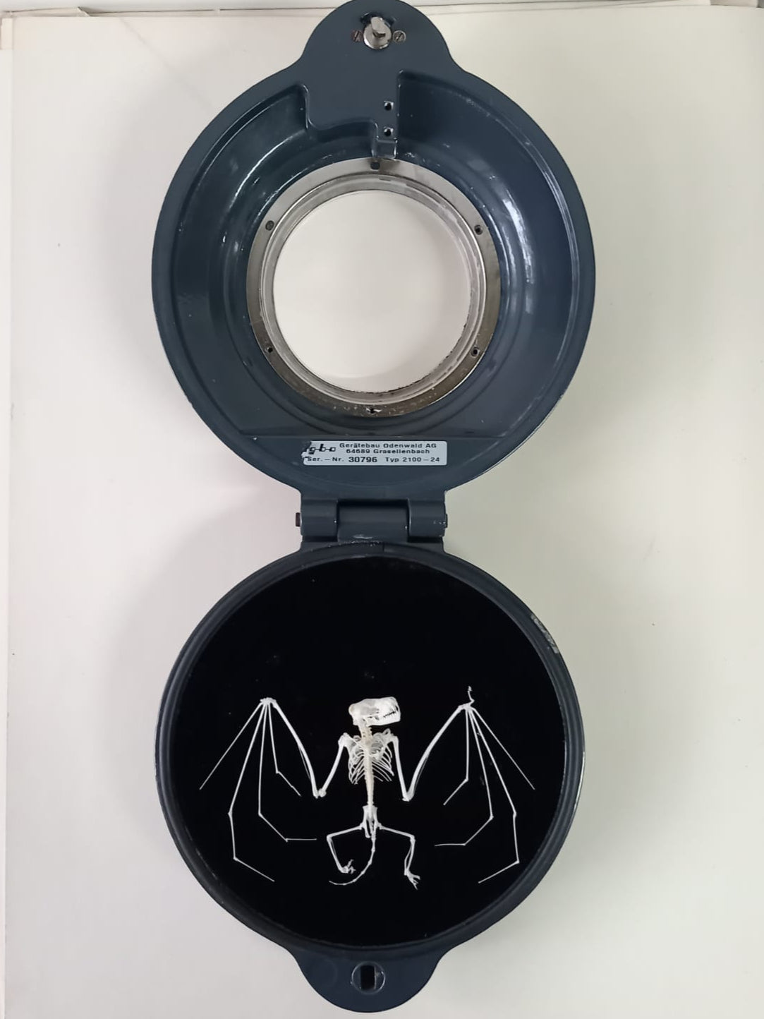 Rearticulated Bat