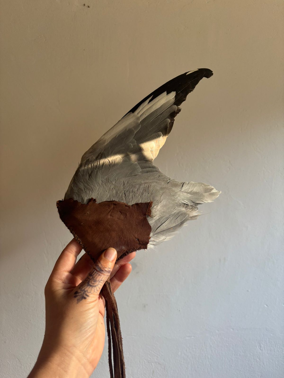 Mystery Bird Smudge Wing