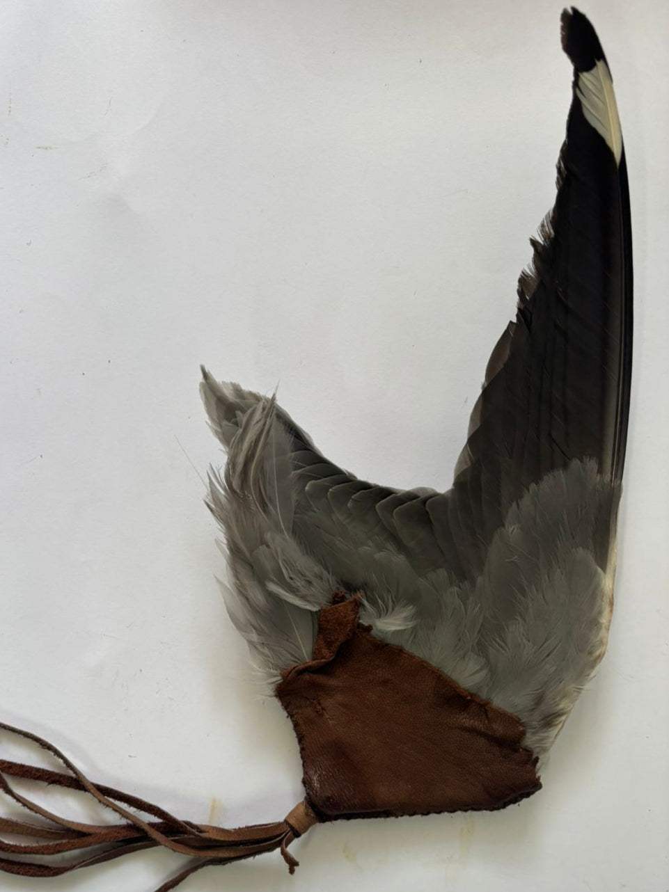 Mystery Bird Smudge Wing
