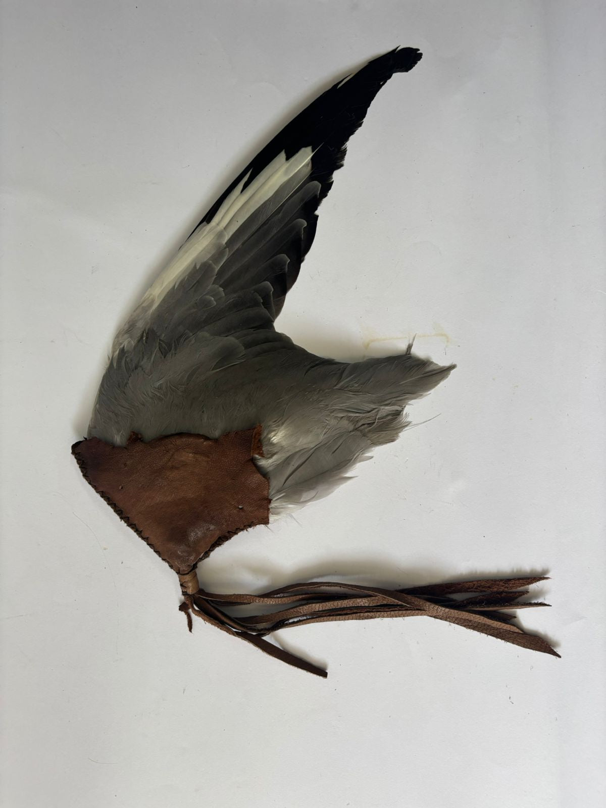 Mystery Bird Smudge Wing