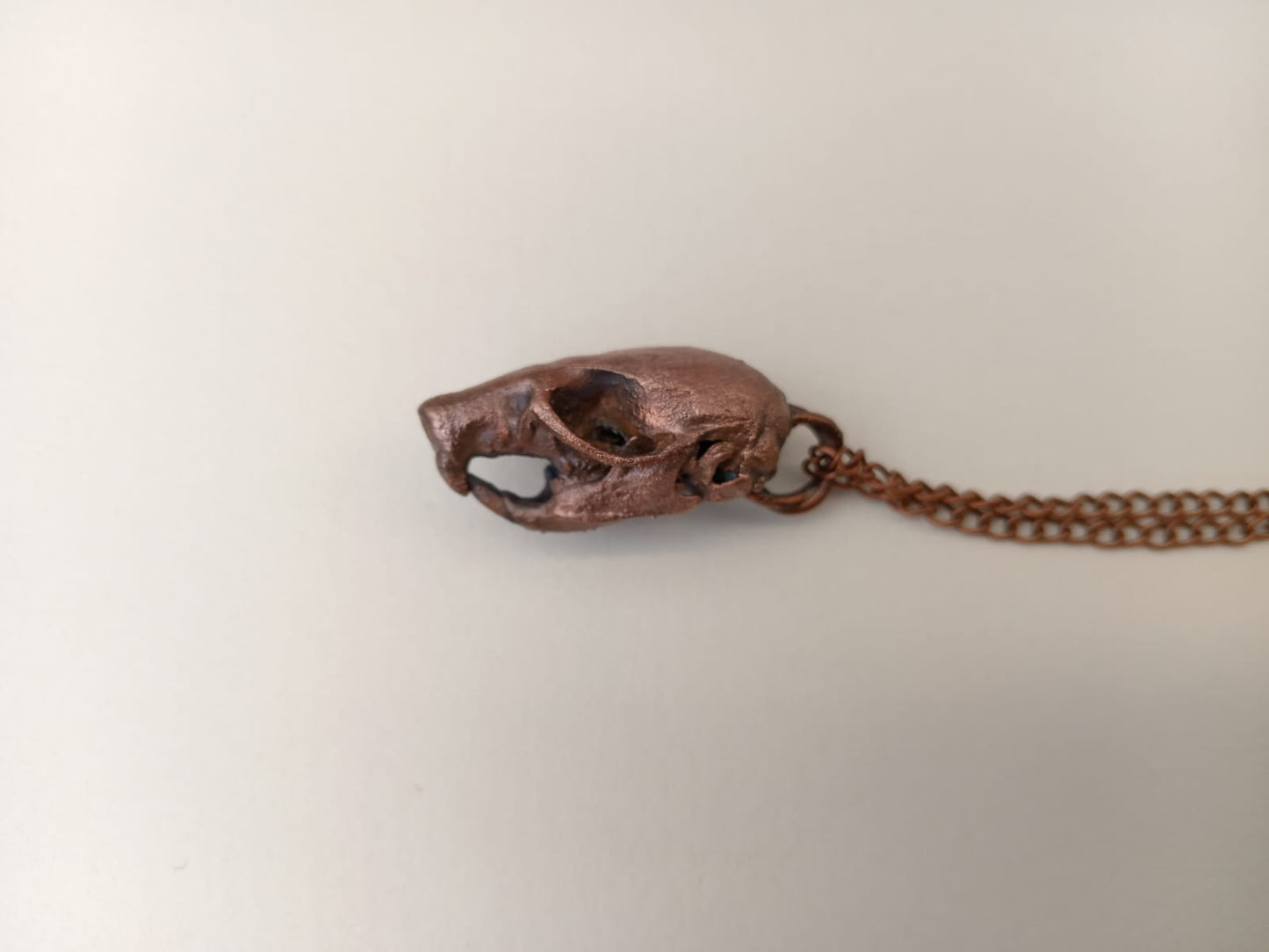 Rat Skull