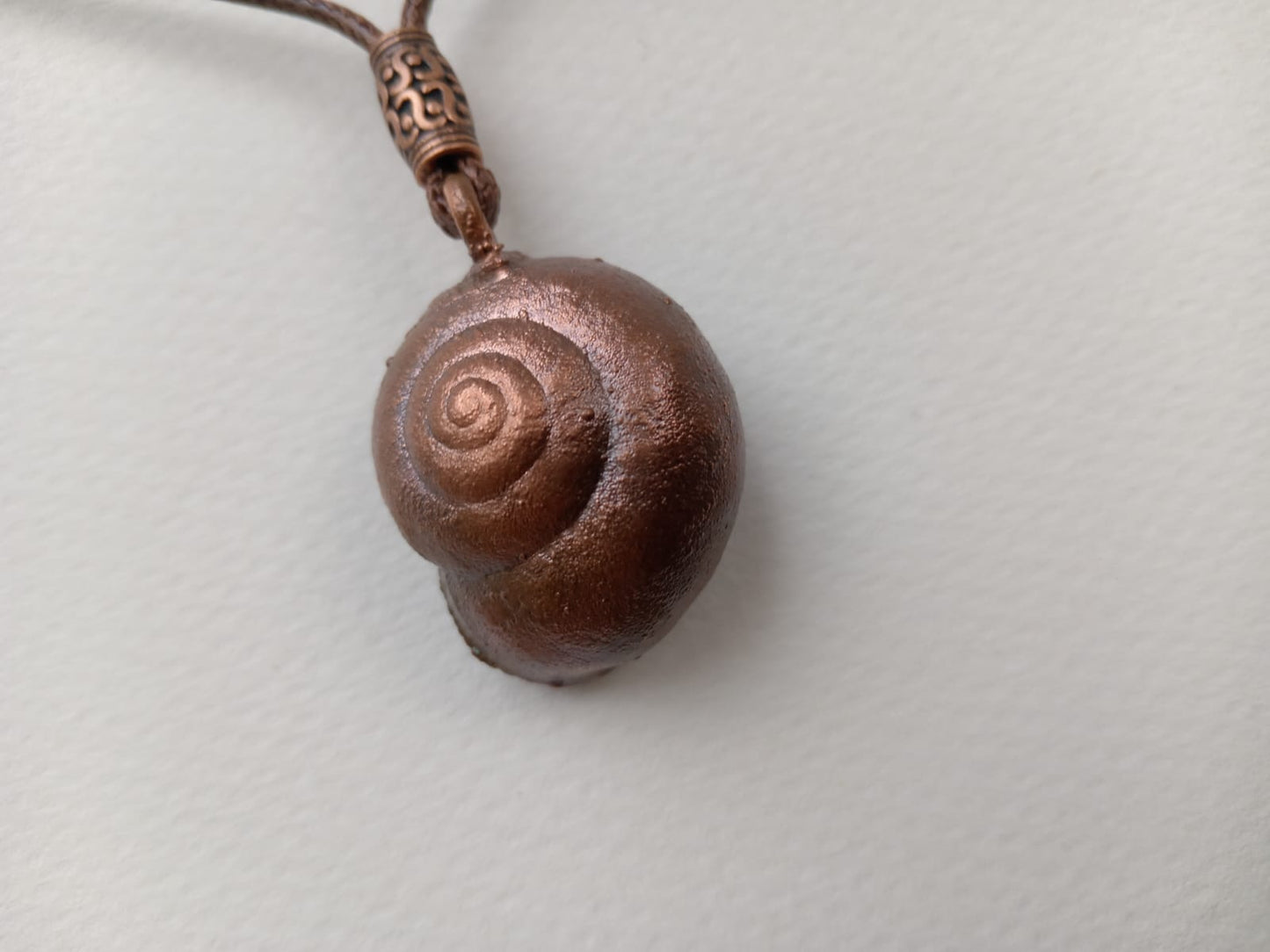 Snail Shell