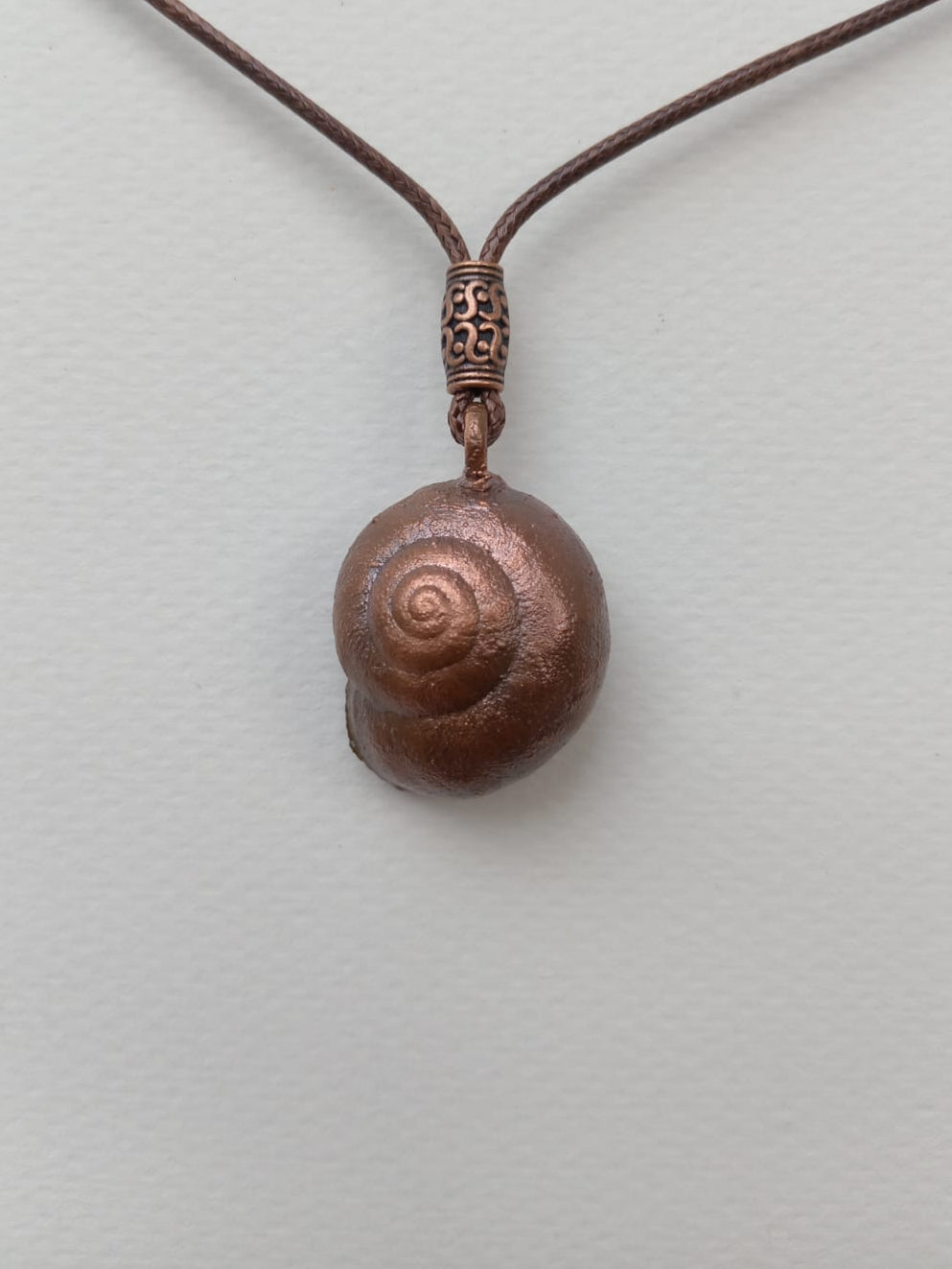 Snail Shell