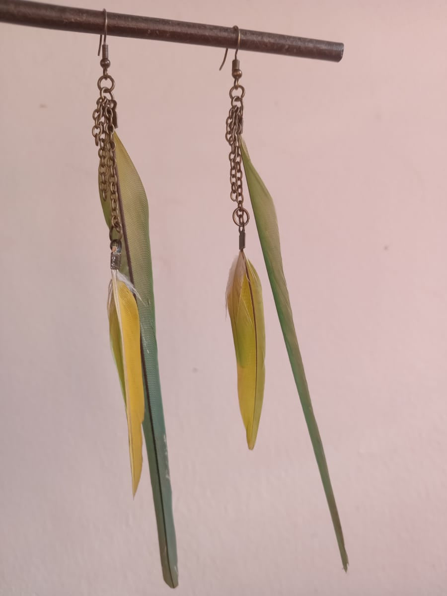 Parakeet Feathers