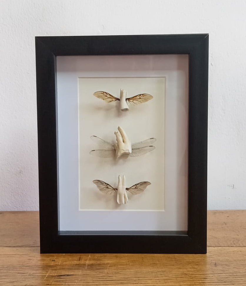 Tooth fairies