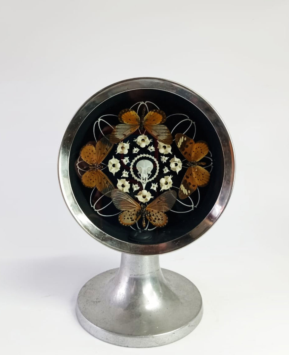 Bone and Butterfly in Vintage Clock