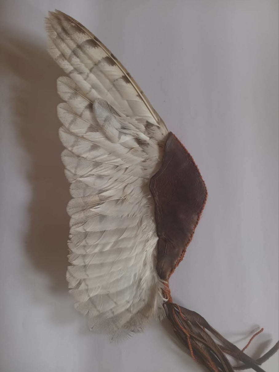 Barn Owl Smudge Wing