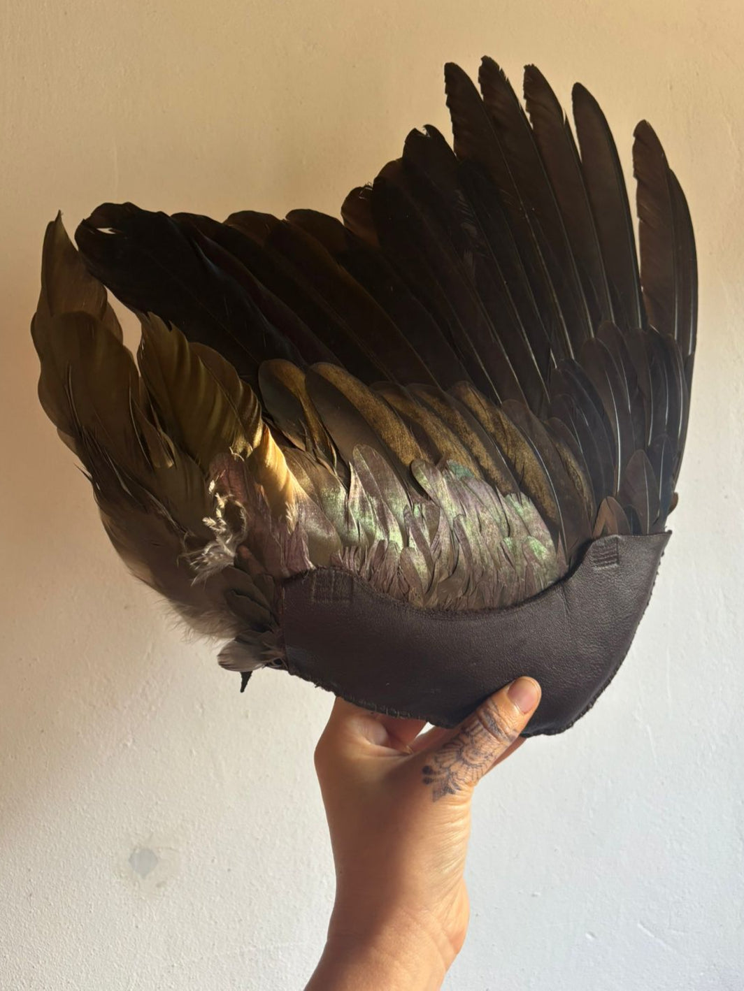 Preserved Hadeda Smudge Wing
