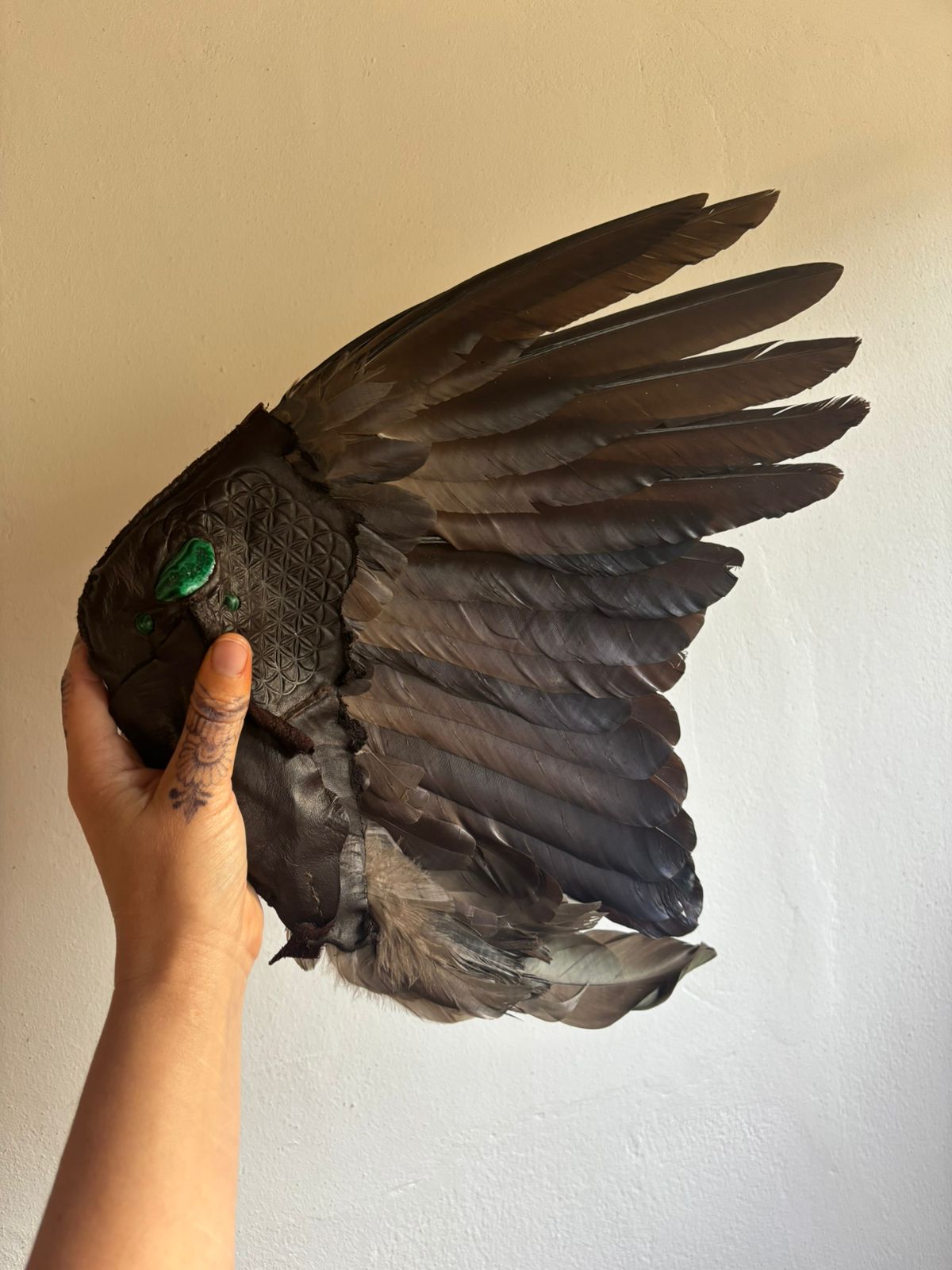 Preserved Hadeda Smudge Wing
