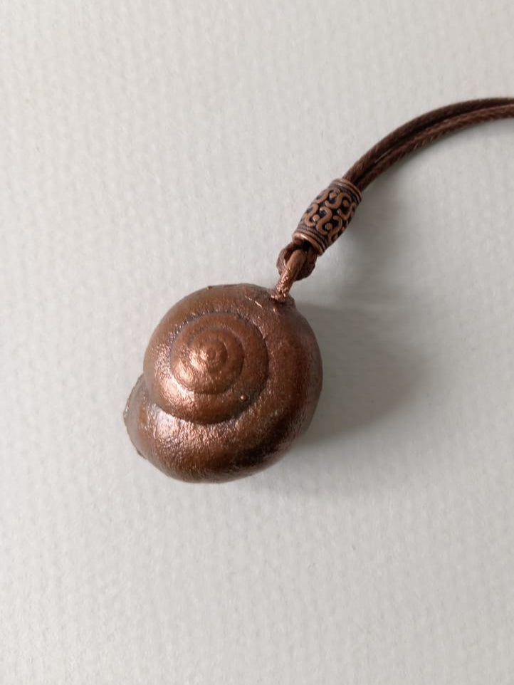 Snail Shell