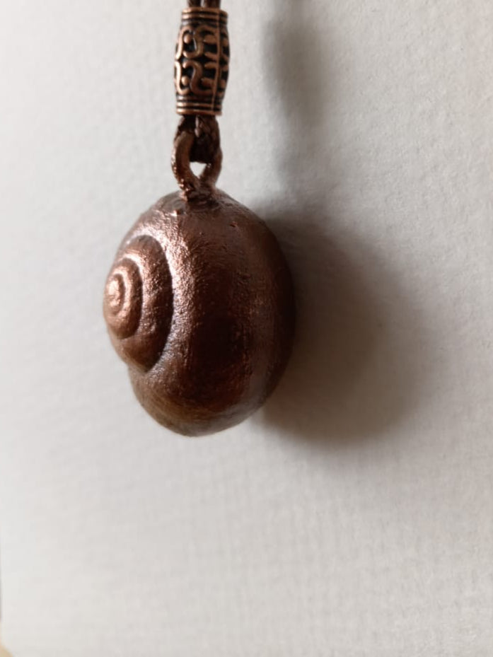 Snail Shell