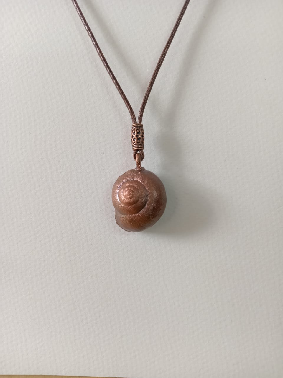 Snail Shell