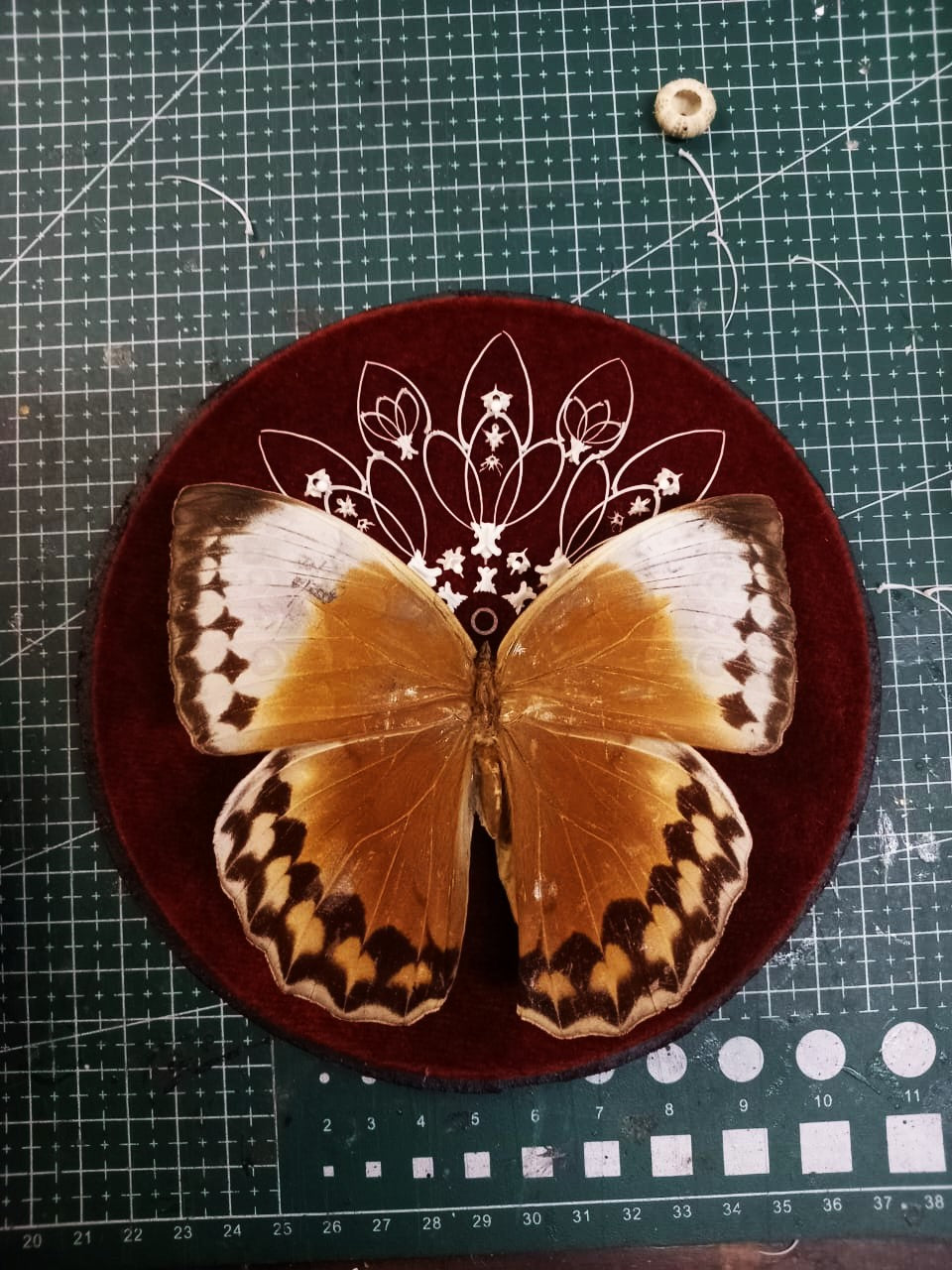 Bone and Butterfly Mandala