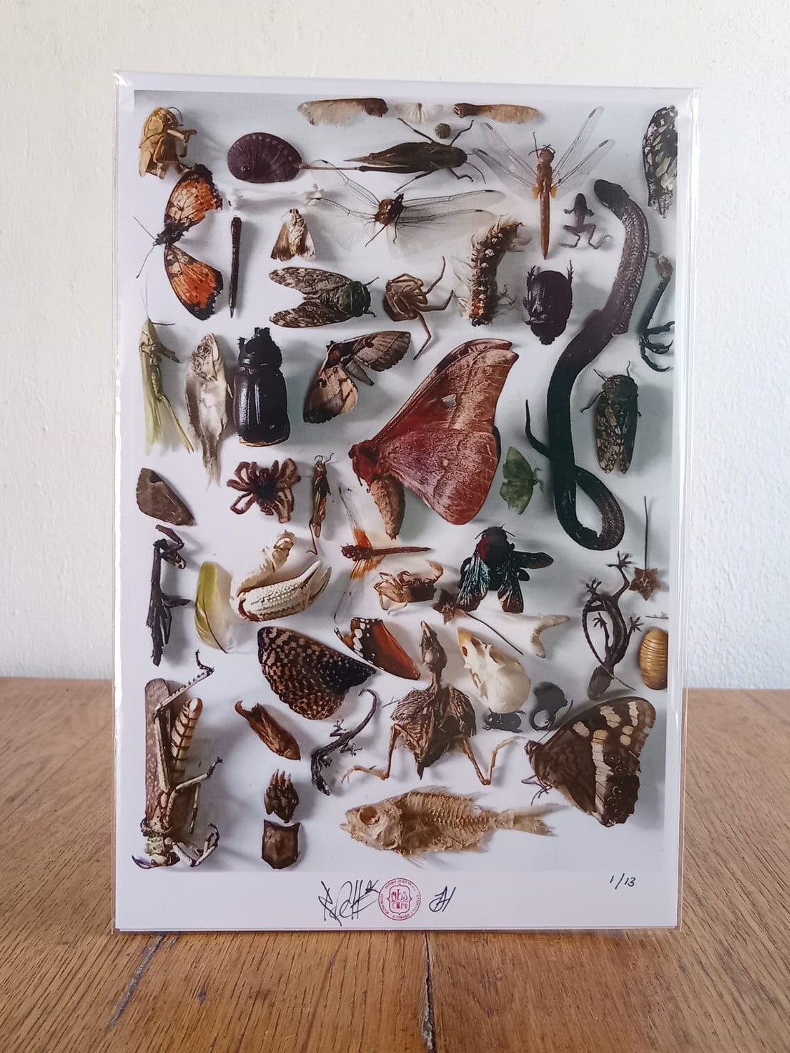 Nature Composition