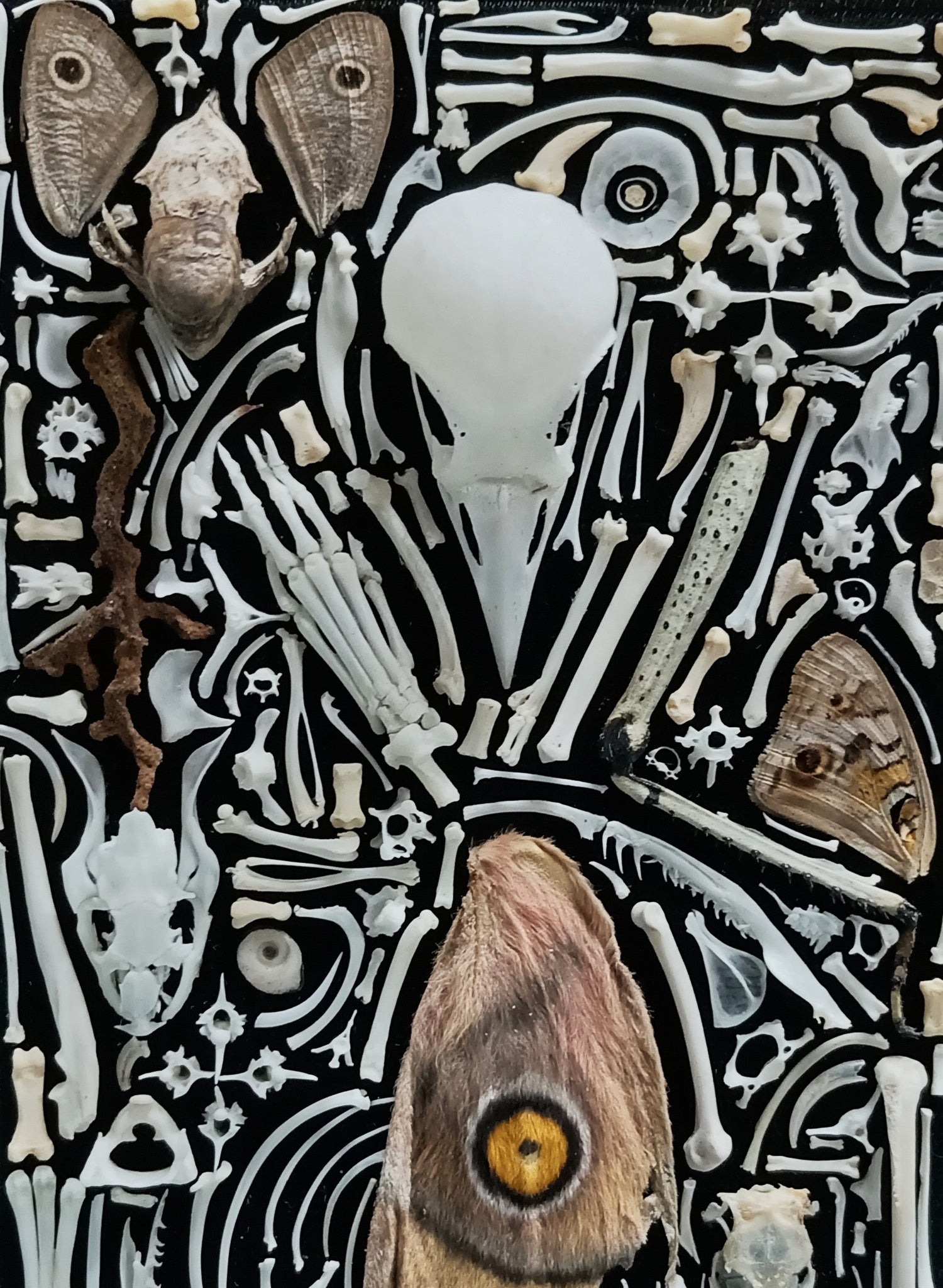 Collector Works