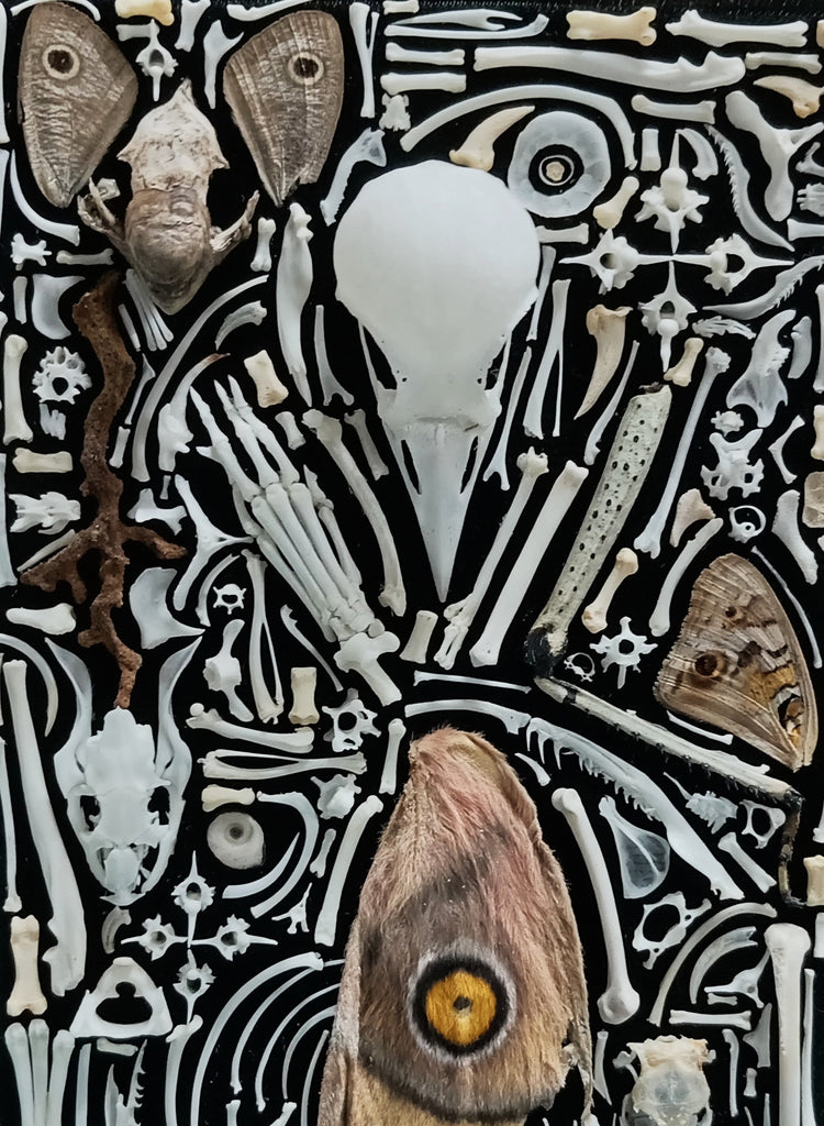 Collector Works