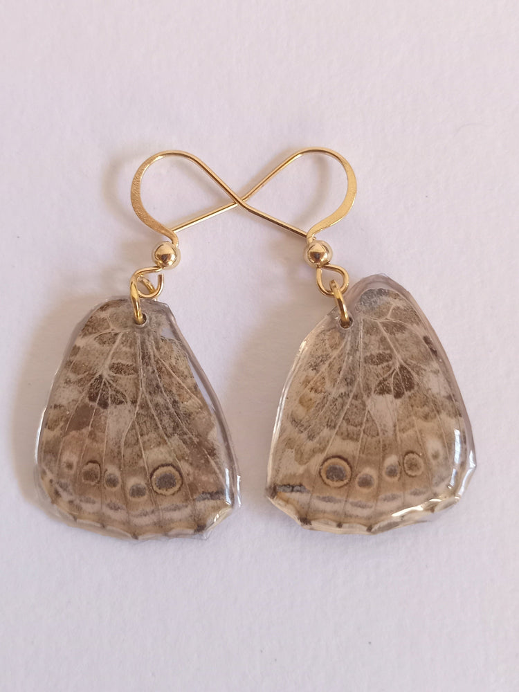 Butterfly and Moth Earrings