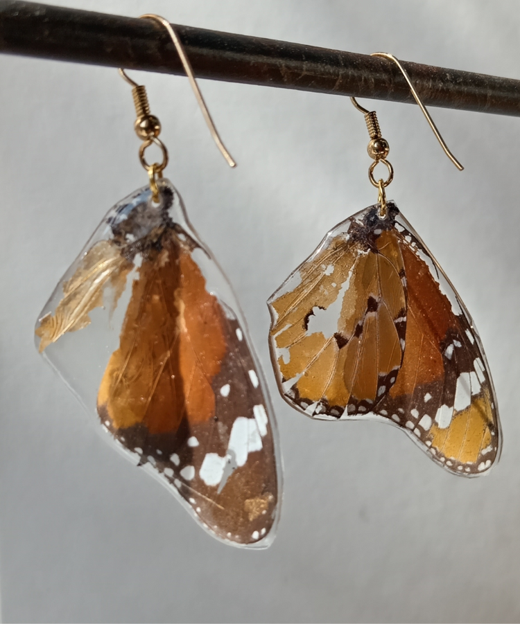 Butterfly and Moth Earrings