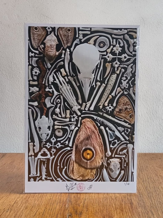 Nature Composition- Moth "Eye"