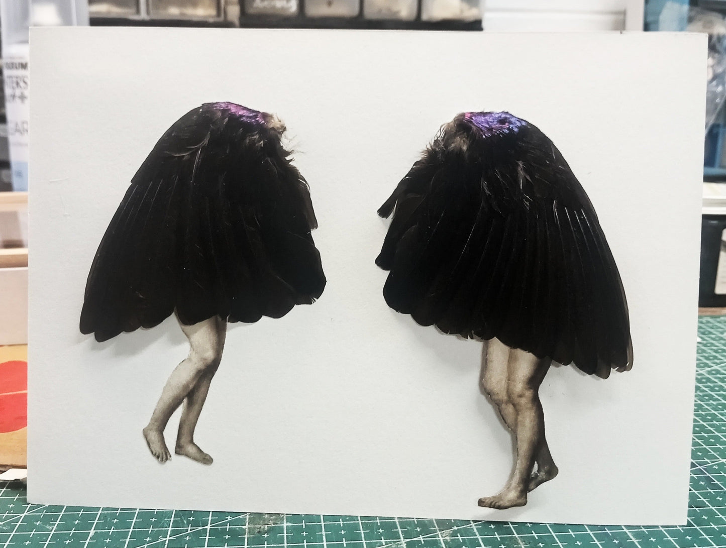 Bird ladies