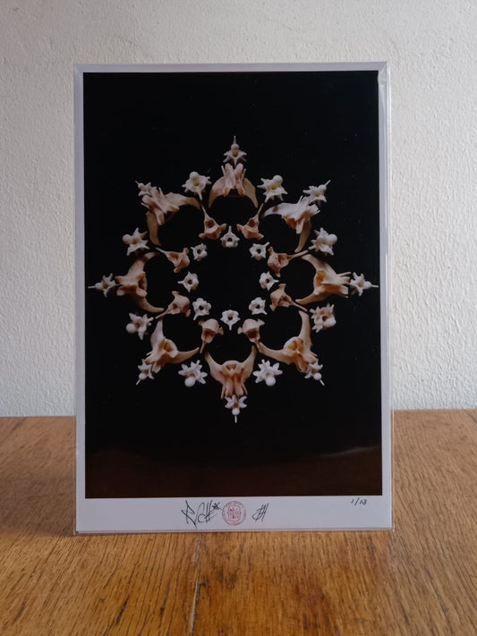 Mongoose and Snake bone mandala