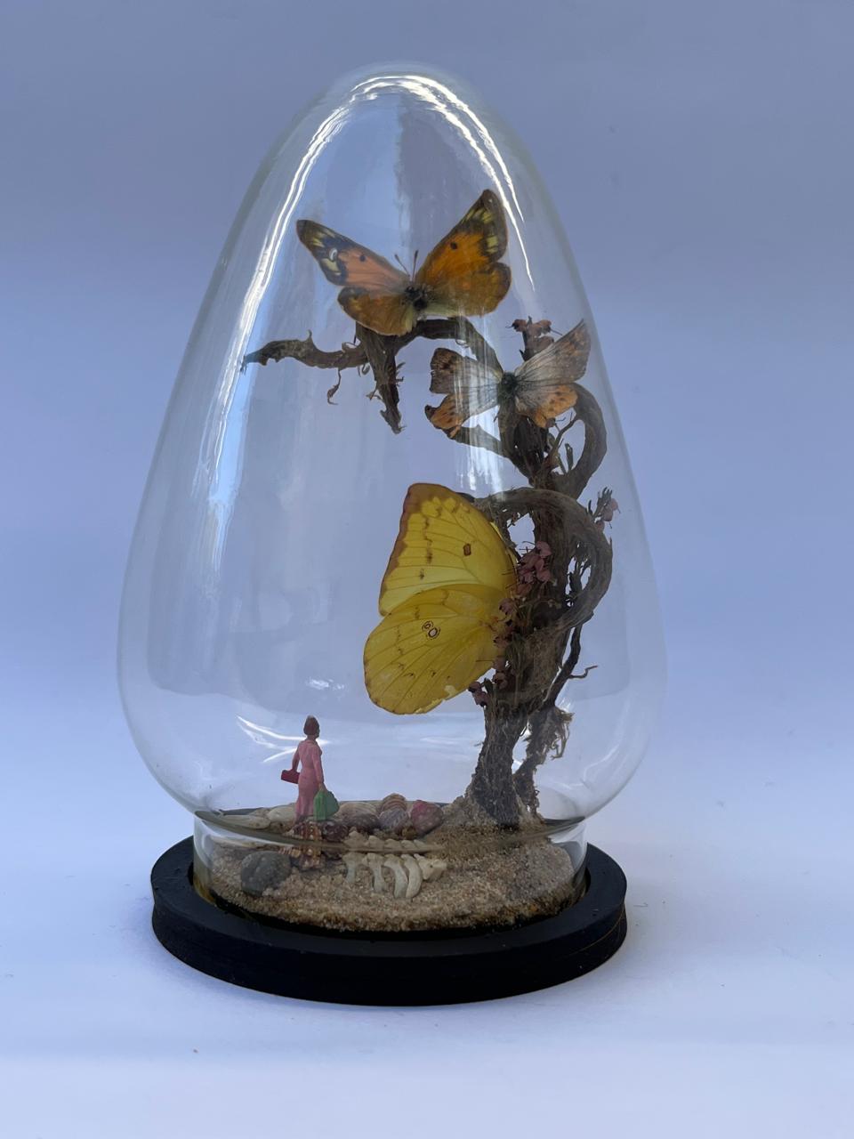 Butterfly Diorama