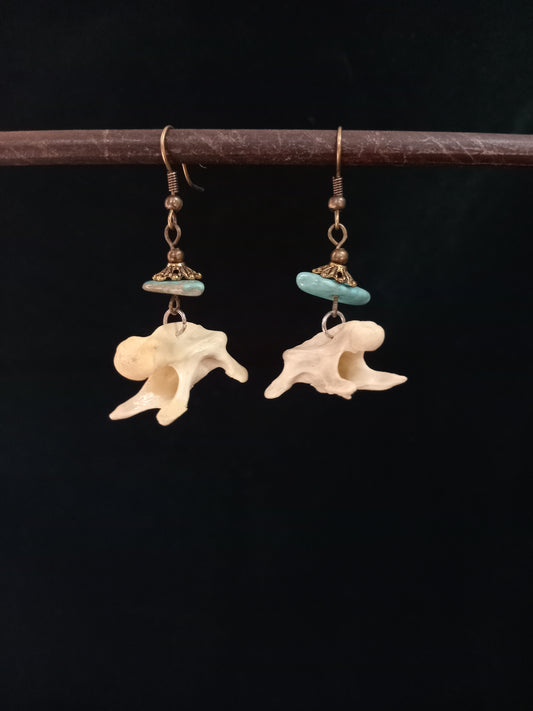 Shell