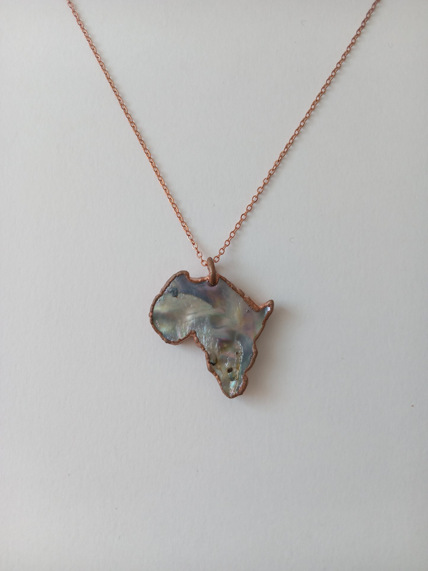Abalone Africa