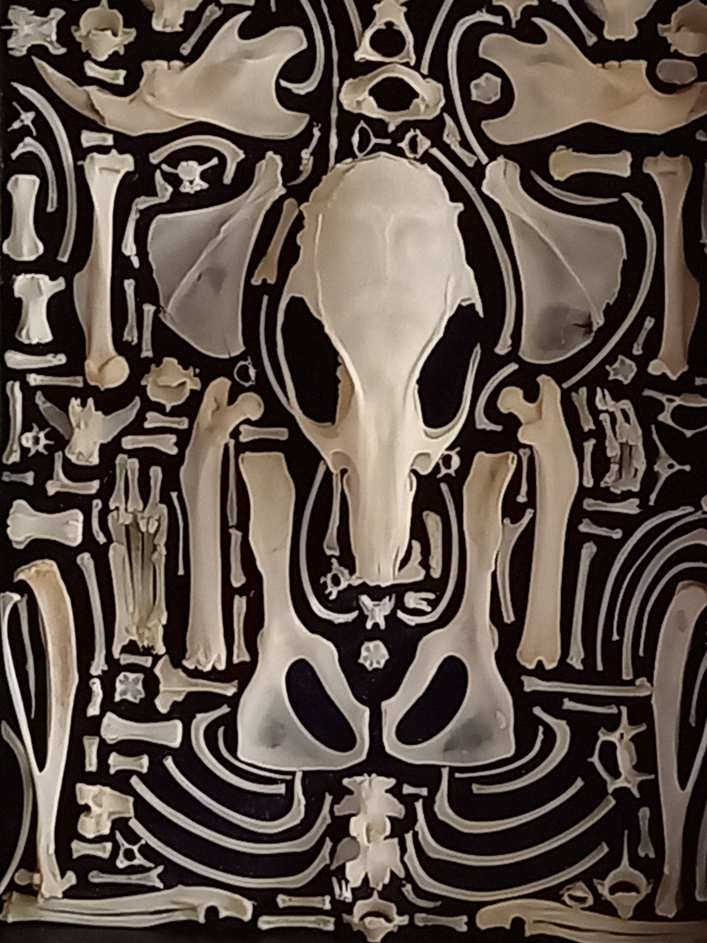 Rat Bone Composition